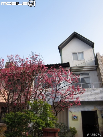 好天氣終於能騎ZERO出門玩耍囉~(圖多)