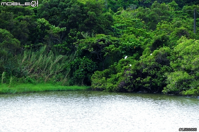 GUZI Lake‧哭泣湖‧Cry Lake‧クライ湖‧울지 호‧ทะเลสาบ Cry‧Cry озера‧रोना झील‧Κραυγή Λίμνη‧صرخة بحيرة‧Cry-See‧Grit