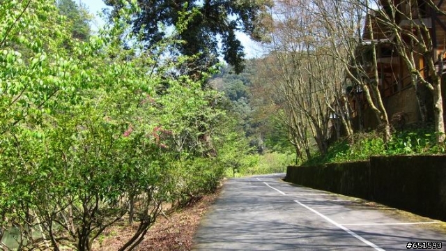 20110313南投杉林溪自行車挑戰賽