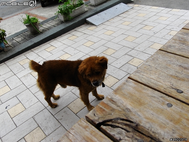 2011年3/2~3/8七天六夜單人環島去(已全部更新完)