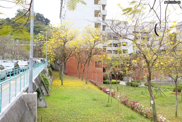 夢寐以求60D