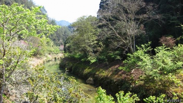20110313南投杉林溪自行車挑戰賽