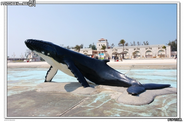 東石漁人碼頭浮生偷閒半日遊