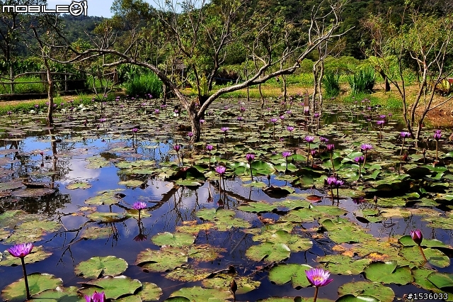 GUZI Lake‧哭泣湖‧Cry Lake‧クライ湖‧울지 호‧ทะเลสาบ Cry‧Cry озера‧रोना झील‧Κραυγή Λίμνη‧صرخة بحيرة‧Cry-See‧Grit