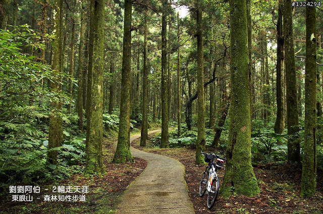 保庇 保庇 保庇 噢,東滿步道摸黑歷險記(20110223)
