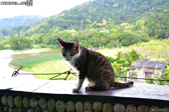 GUZI Lake‧哭泣湖‧Cry Lake‧クライ湖‧울지 호‧ทะเลสาบ Cry‧Cry озера‧रोना झील‧Κραυγή Λίμνη‧صرخة بحيرة‧Cry-See‧Grit