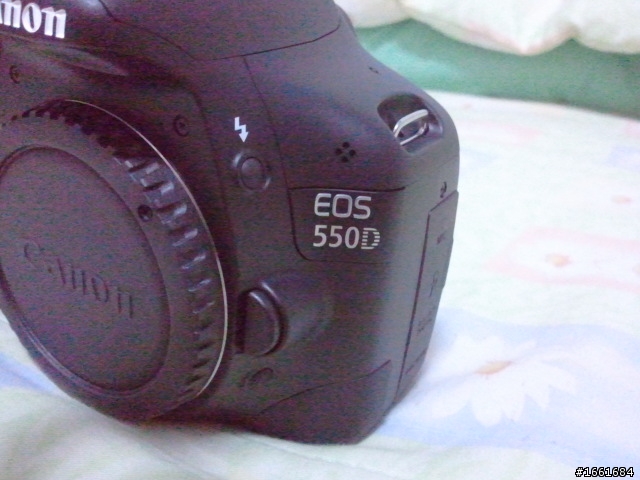 新手之不專業的550D開箱!