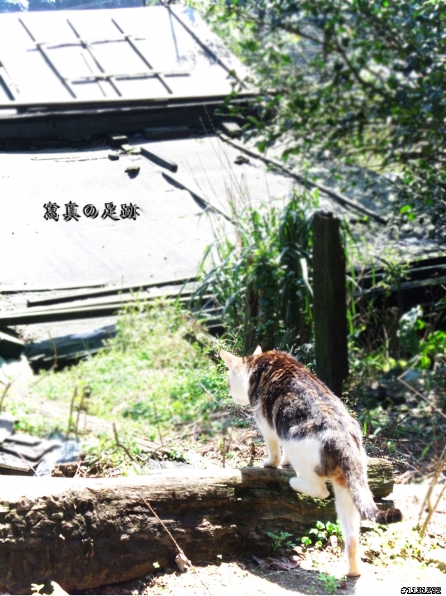 寫真於猴硐的足跡遊