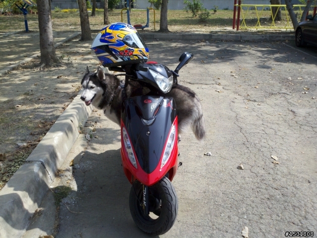 新舊款FF-5+新舊款T-MAX 3帽2車大合照~~
