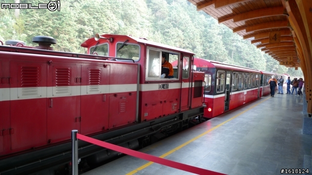 阿里山賞櫻自由行