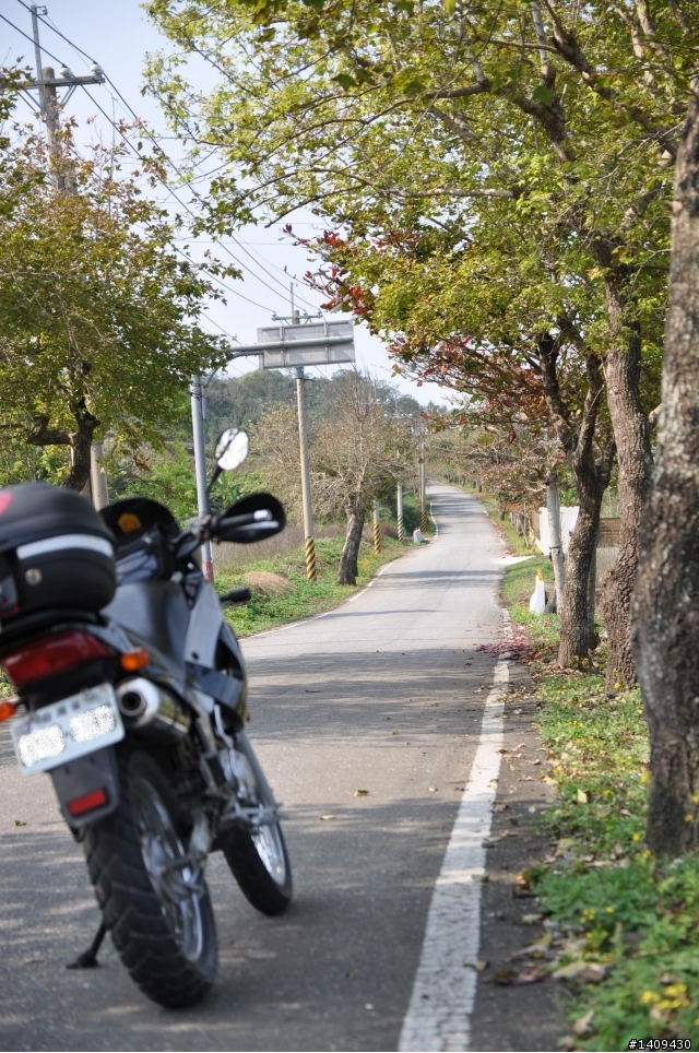 20110314花東縱谷193線道半程探路行