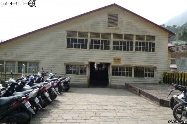 阿里山賞櫻自由行