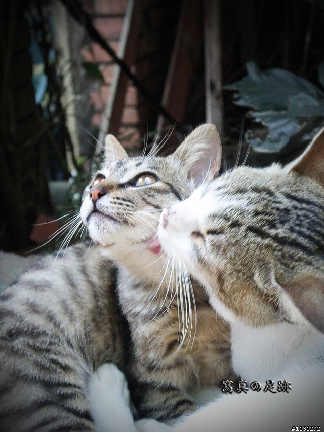 寫真於猴硐的足跡遊