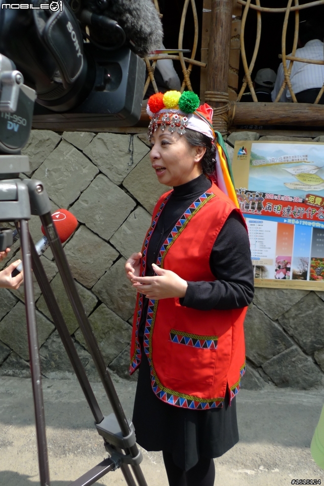 阿里山賞櫻自由行