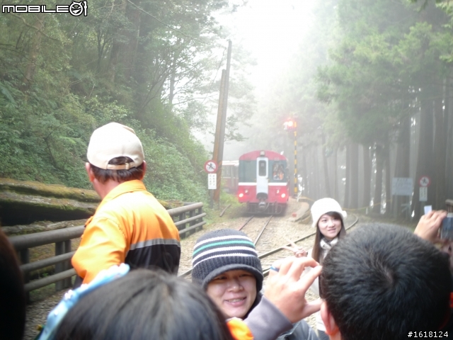阿里山賞櫻自由行