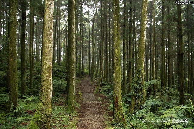保庇 保庇 保庇 噢,東滿步道摸黑歷險記(20110223)