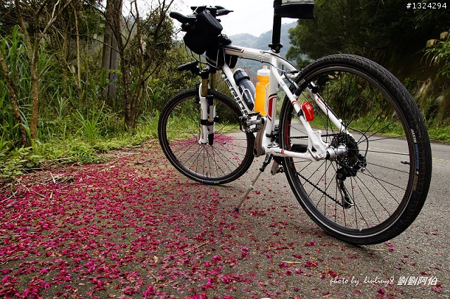 保庇 保庇 保庇 噢,東滿步道摸黑歷險記(20110223)