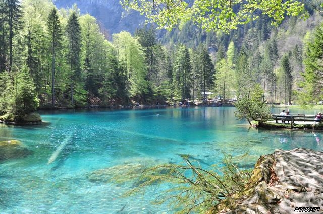 低調的人間仙境--藍湖自然公園(Nature Park Blausee)