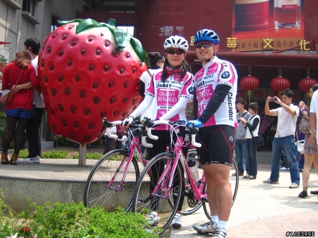 GARNEAU SONIX CUP