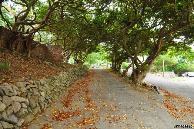 心靈沉澱的好所在~~通霄神社