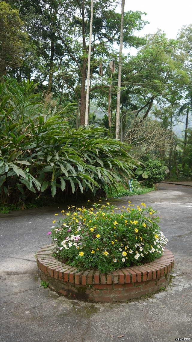 珍園螢火蟲花園Jean's Garden(三峽)