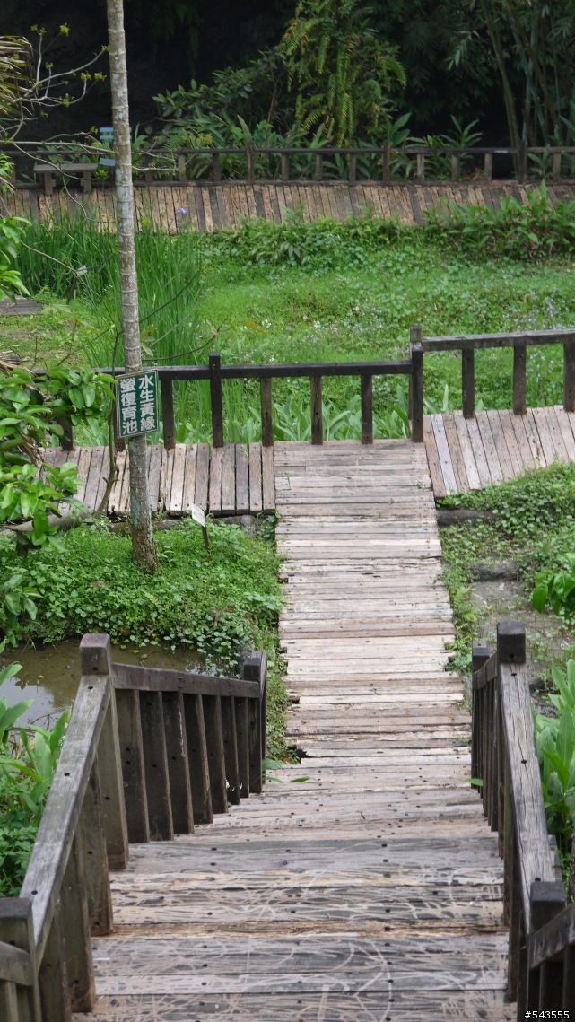 珍園螢火蟲花園Jean's Garden(三峽)