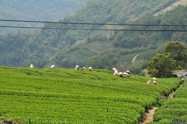 勤能補拙之奮力向上篇(台18與21連線春騎之嘉義到阿里山)