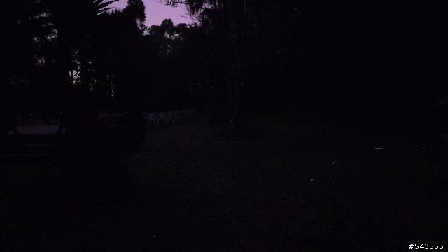 珍園螢火蟲花園Jean's Garden(三峽)