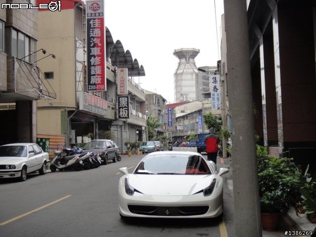 家門口驚見白馬