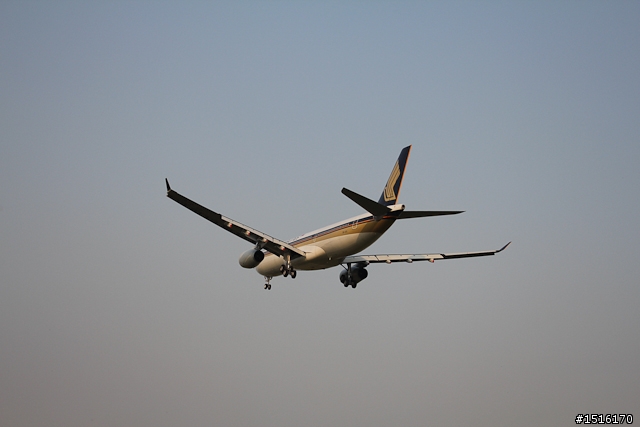 新手報到 CANON 550D