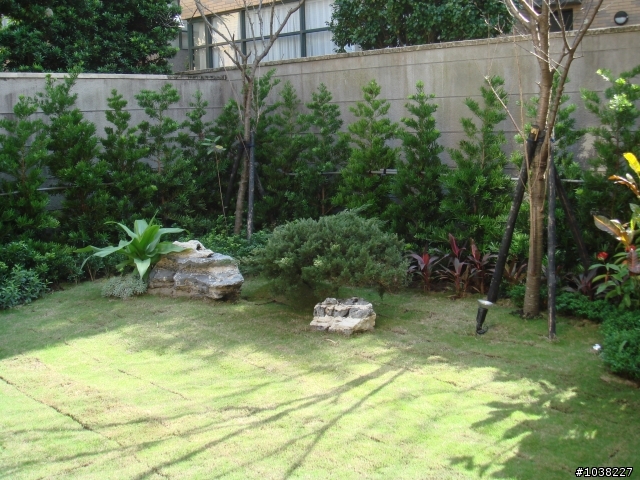 我家之恐怖花園小改造!!