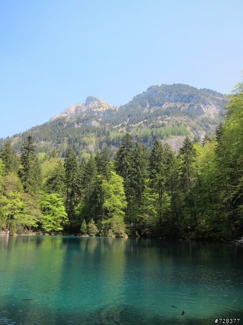 低調的人間仙境--藍湖自然公園(Nature Park Blausee)