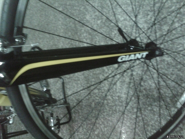 第一台公路車!TCR 3小開箱文