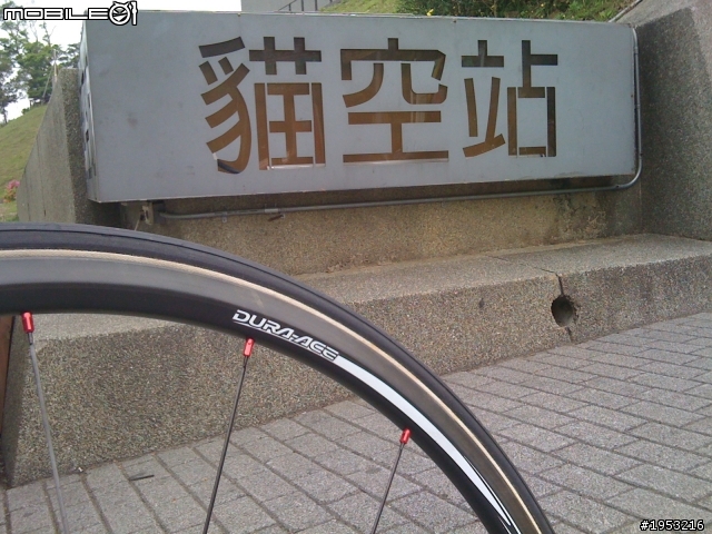 Rabobank 環義小子成軍