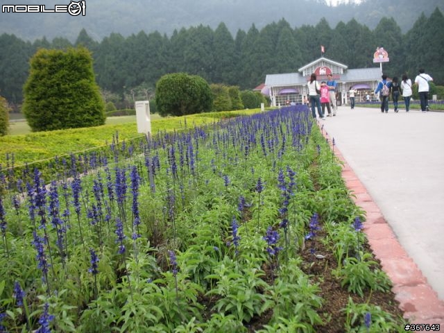 車埕之後~日月潭九族之旅