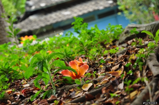 心靈沉澱的好所在~~通霄神社
