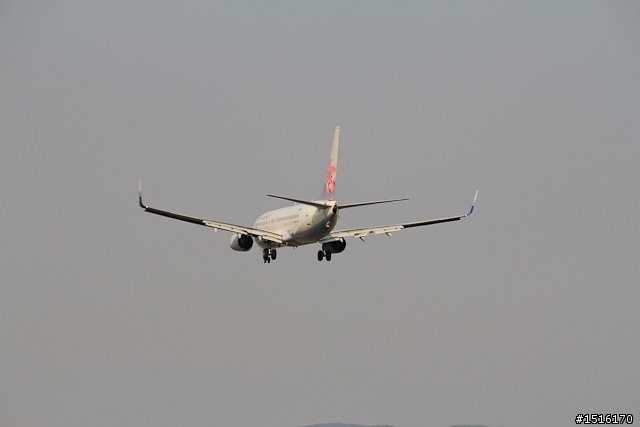 新手報到 CANON 550D