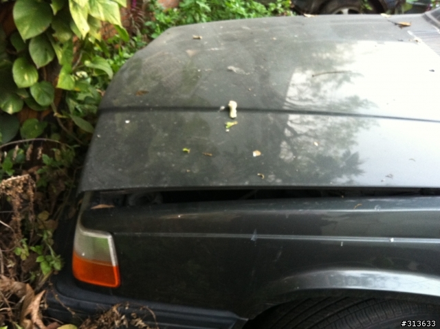 車禍待修的車子,放在修車廠外面,被修車廠拔掉電瓶是正常嗎?