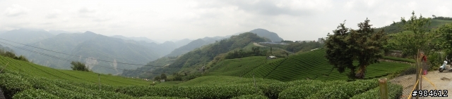 勤能補拙之奮力向上篇(台18與21連線春騎之嘉義到阿里山)