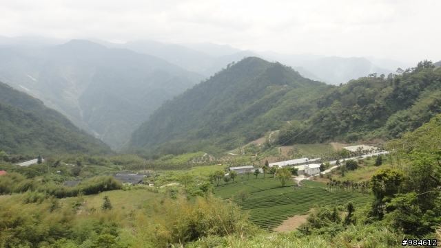 勤能補拙之奮力向上篇(台18與21連線春騎之嘉義到阿里山)