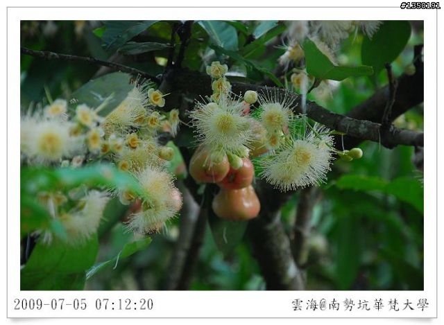 南勢坑華梵大學單車行