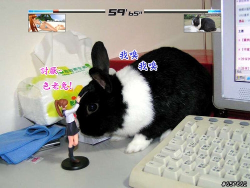 DOA生死格鬥之 波波 大戰 KASUMI