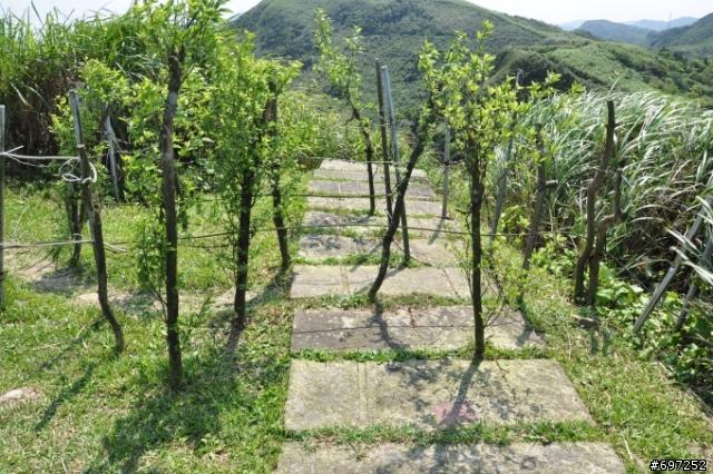 1000421貢寮桃源谷