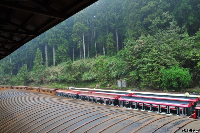 勤能補拙之奮力向上篇(台18與21連線春騎之嘉義到阿里山)