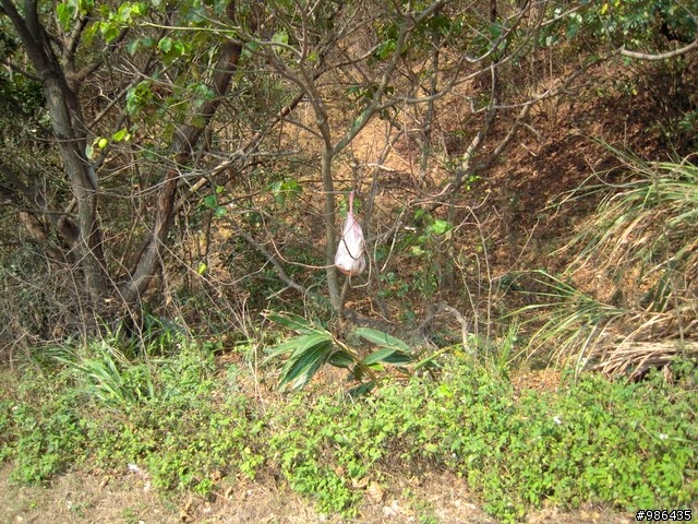 阿朗壹古道
