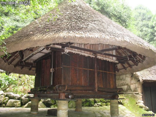 車埕之後~日月潭九族之旅