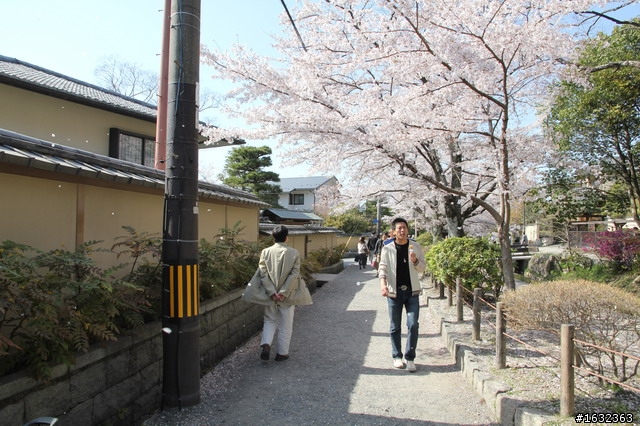 【遊記】關西賞櫻自由行