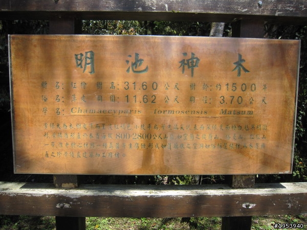 小藍GTR衝北橫訓車兜風遊