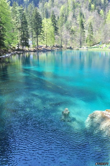 低調的人間仙境--藍湖自然公園(Nature Park Blausee)