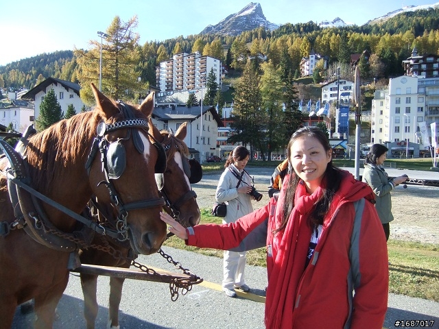 2009年瑞士十日遊記(已完工,圖多字多)